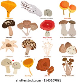 Cute vector fungi mushroom and smily happy face    Chanterelle  stinkhorn  Cup  Shiitake  Indian Oyster  King oyster  Earthstars  Enokitake  Champignon  Jelly ear  Colorful doodle illustration