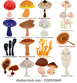 Vector lindo de hongos hongos con cara sonrientemente feliz - Fly amanita, gorra waxy, Parasol, webcap, leche, Russula, Lingzhi, Boletus. Colorido conjunto de ilustraciones de doodle aisladas en fondo blanco 