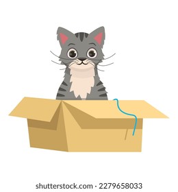 Cute vector gray tabby cat sits in a box.