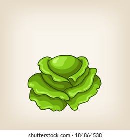 Cute vector green hand drawn cabbage 