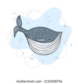 Ilustración de ballena azul dibujada a mano de vector de corte