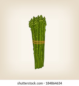 Cute vector hand drawn bunch of asparagus