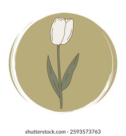  cute vector hand drawn logo design templates, icon and badge for social media story and highlight with orange tulip flower on delicate cream background