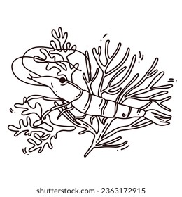 gambas dibujadas a mano vectorial lindo, arte de línea. ilustración vectorial para libro de colorido