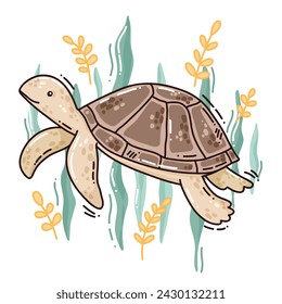 cute vector hand drawn turtle, colorful art. vector illustration for print