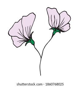 cute vector hand-drawn pea flower. icon, print, sketch, element of nature, doodle. isolated on a white background