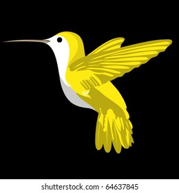 Cute vector humming bird on black background