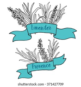 cute vector icon with ribbons and lavender Provence