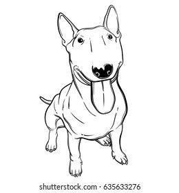 Cute vector illustration with bullterrier. Home dog. Perfect for printing clothes or stickers or coloring books.