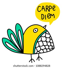 Cute vector illustration with cartoon bird and carpe diem lettering