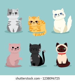 Cute vector illustration of cat breeds, pet animal set in a cartoon flat style