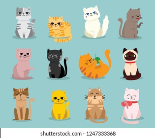 Cute vector illustration of cat breeds, pet animal set in a cartoon flat style