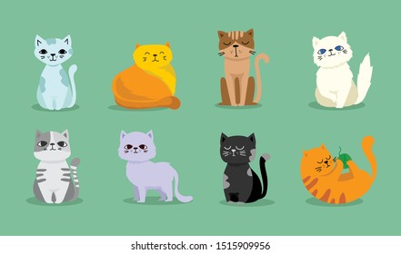 Cute vector illustration of cat breeds, pet animal set in a cartoon flat style