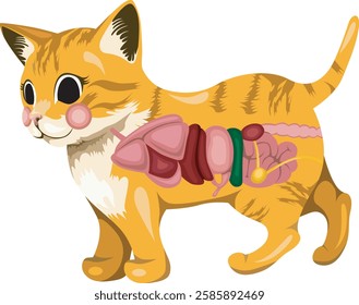 A cute vector illustration of a cat with its digestive system, ideal for educational content, kids' learning materials, and infographics. Editable EPS file for customization!