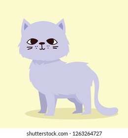 Cute vector illustration of cat pet isolated on the dark background in a flat cartoon colorful style