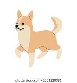 Vetor bonito Ilustração de cão Chihuahua. Coleção de clipart de animais de estimação. canino, filhote desenhado à mão. Ilustrado em várias poses. 