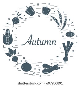 Cute vector illustration of different autumn seasonal vegetables arranged in a circle. Tomato, beets, garlic, zucchini and other fall vegetables. Design for poster or print.