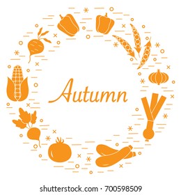 Cute vector illustration of different autumn seasonal vegetables arranged in a circle. Tomato, beets, garlic, zucchini and other fall vegetables. Design for poster or print.