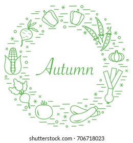 Cute vector illustration of different autumn seasonal vegetables arranged in a circle. Tomato, beets, garlic, zucchini and other fall vegetables. Design for poster or print.