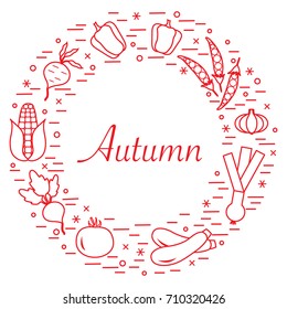 Cute vector illustration of different autumn seasonal vegetables arranged in a circle. Tomato, beets, garlic, zucchini and other fall vegetables. Design for poster or print.