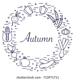 Cute vector illustration of different autumn seasonal vegetables arranged in a circle. Tomato, beets, garlic, zucchini and other fall vegetables. Design for poster or print.