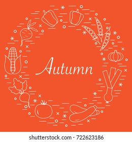Cute vector illustration of different autumn seasonal vegetables arranged in a circle. Tomato, beets, garlic, zucchini and other fall vegetables. Design for poster or print.