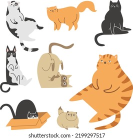 Cute vector illustration. Different cats on white background. Siamese, Persian, red and striped cats. Cute fat cats. A kitten hiding in a box 