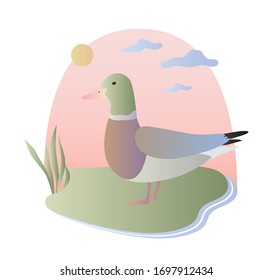 Ilustración vectorial de un paseo de drenaje de pato en el campo en verano, hermosos colores pastel