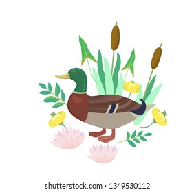 Cute vector illustration with duck and plants. Vector illustration