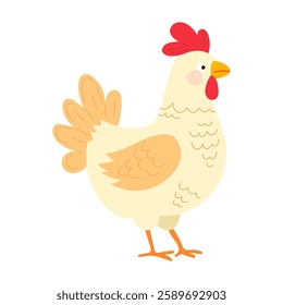 Cute vector illustration of farm rooster with red comb and beige feathers on white background. Flat children's illustration in poultry character style. For characters of children's books, cartoons. 