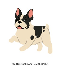 Linda Ilustración vectorial de perro bulldog francés. Colección de Clipart de mascotas. canino, cachorro dibujado a mano. Ilustrado en varias poses. 