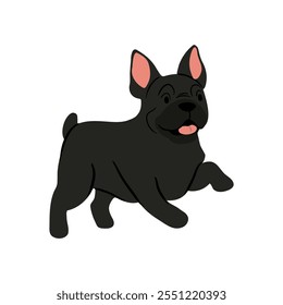 Linda Ilustración vectorial de perro bulldog francés. Colección de Clipart de mascotas. canino, cachorro dibujado a mano. Ilustrado en varias poses. 