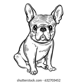 Cute vector illustration with French bulldog. Home dog. Perfect for printing clothes or stickers or coloring books.