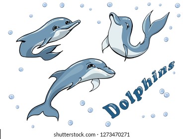 Cute vector illustration of funny dolphins jumping fun on a white background. Banner and poster design