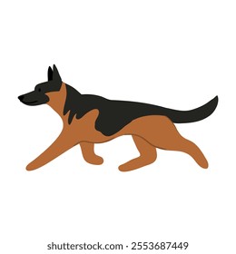 Cute vector Illustration of German Shepherd dog. Pet clipart collection. canine, puppy hand drawn. Illustrated in various poses. 