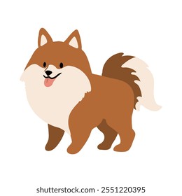 Linda Ilustración vectorial de perro alemán Spitz. Colección de Clipart de mascotas. canino, cachorro dibujado a mano. Ilustrado en varias poses. 