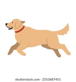 Cute vector Illustration of Golden Retriever dog. Pet clipart collection. canine, puppy hand drawn. Illustrated in various poses. 