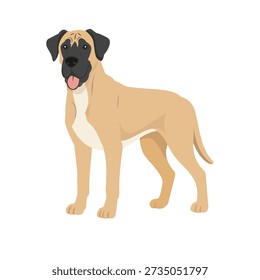 Cute vector illustration of a Great Dane dog standing and facing forward. The dog is illustrated in a friendly cartoon style with a tall and muscular body, long legs, short coat, and expressive face. This image represents the Great Dane breed, large dogs, domestic animals, and pet lifestyle concepts. Isolated on a white background, suitable for dog breed guides, pet care and veterinary content, educational materials, children illustrations, stickers, branding, and animal-themed graphic designs.