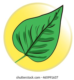 Cute vector illustration of green leaf