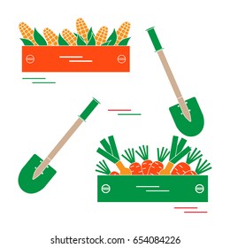 Cute vector illustration of harvest: two shovels, two boxes of corn, carrots, and onion. Design for banner, poster or print.