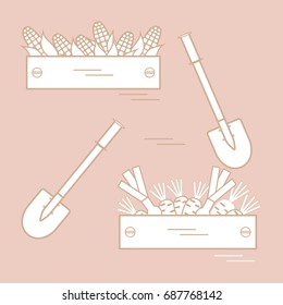 Cute vector illustration of harvest: two shovels, two boxes of corn, carrots, and onion. Design for banner, poster or print.