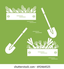 Cute vector illustration of harvest: two shovels, two boxes of corn, carrots, and onion. Design for banner, poster or print.