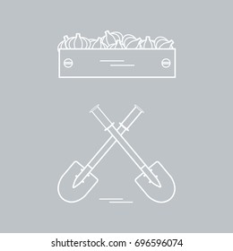 Cute vector illustration of harvest: two shovels and box of garlic. Design for banner, poster or print.
