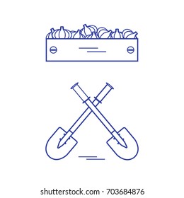 Cute vector illustration of harvest: two shovels and box of garlic. Design for banner, poster or print.