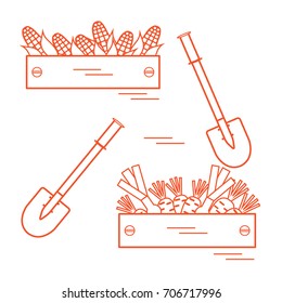 Cute vector illustration of harvest: two shovels, two boxes of corn, carrots, and onion. Design for banner, poster or print.