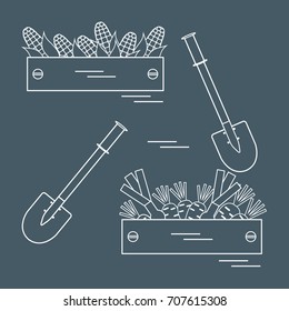 Cute vector illustration of harvest: two shovels, two boxes of corn, carrots, and onion. Design for banner, poster or print.