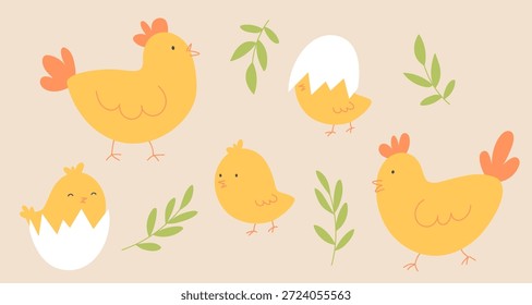 Linda Ilustración vectorial con gallinas y Pequeños polluelos que eclosionan de cáscaras de huevo agrietadas, rodeados de hojas verdes de primavera. Diseño alegre de temática agrícola perfecto para Pascua, proyectos infantiles e ilustraciones de primavera.