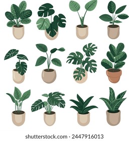cute vector illustration of houseplants