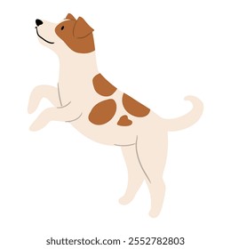 Linda Ilustración vectorial de Jack Russell Terrier perro. Colección de Clipart de mascotas. canino, cachorro dibujado a mano. Ilustrado en varias poses. 