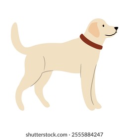 Cute vector Illustration of Labrador Retriever dog. Pet clipart collection. canine, puppy hand drawn. Illustrated in various poses. 